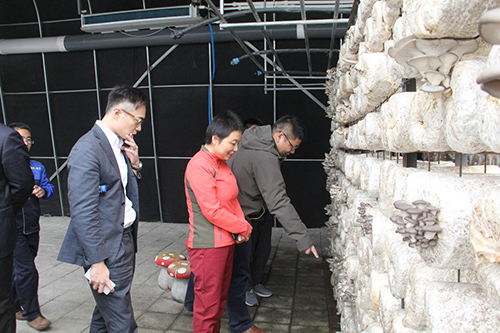 01驻辽宁联络处到访辽宁省盘锦市营口市及锦州市 01_驻辽宁联络处到访辽宁省盘锦市营口市及锦州市