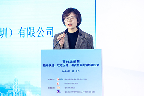 驻京办举办“稳中求进、以进促稳:港资企业的角色和应对”营商座谈会_7 驻京办举办“稳中求进、以进促稳:港资企业的角色和应对”营商座谈会7