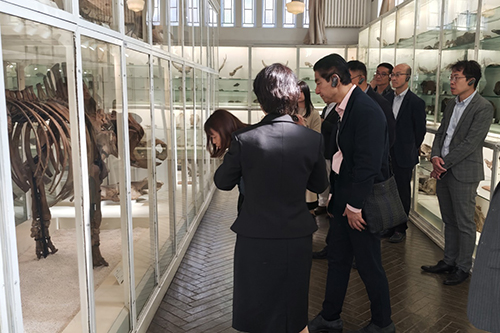 駐京辦主任訪問天津市6