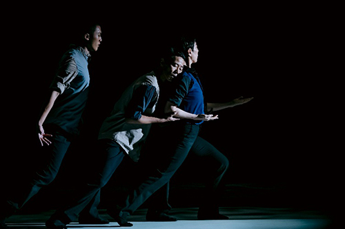 驻京办出席香港城市当代舞蹈团《雪落下的声音》在第七届中国新疆国际民族舞蹈节演出1