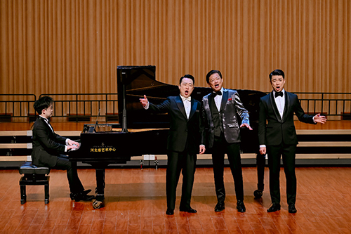 駐京辦主任出席「獅子山下」香港和石家莊在一起音樂會4