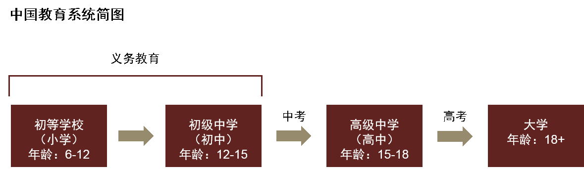 中国教育系统简图